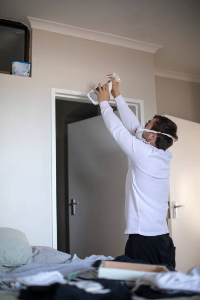 Best Attic Mold Removal  in Tatum, TX