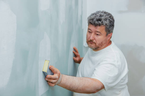 Biohazard Mold Removal in Tatum, TX