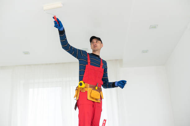 Best Emergency Mold Remediation  in Tatum, TX